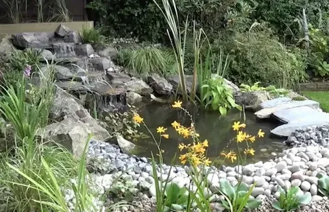 Clear Water and Healthier Aquatic Life